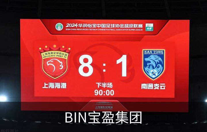 BIN宝盈集团简介